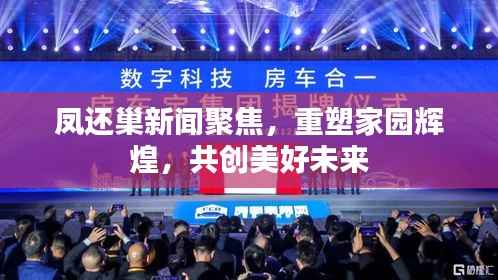 凤还巢新闻聚焦,重塑家园辉煌,共创美好未来