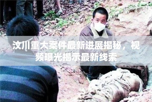 关于我们 第110页