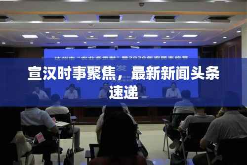 宣汉时事聚焦,最新新闻头条速递