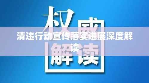 清违行动宣传落实进展深度解读