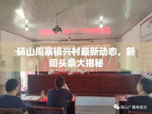 砀山周寨镇兴村最新动态,新闻头条大揭秘