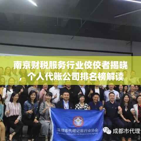南京财税服务行业佼佼者揭晓,个人代账公司排名榜解读