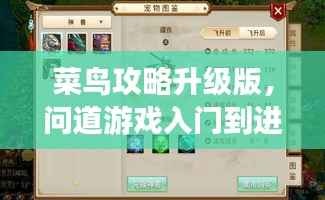 菜鸟攻略升级版,问道游戏入门到进阶全攻略