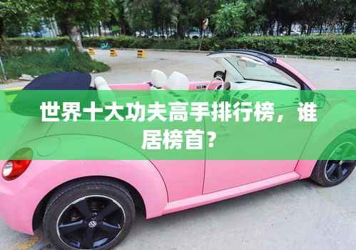 世界十大功夫高手排行榜,谁居榜首?