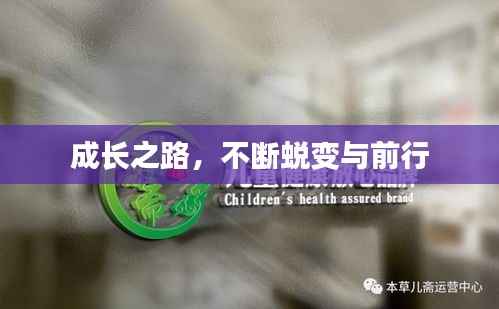 成长之路,不断蜕变与前行