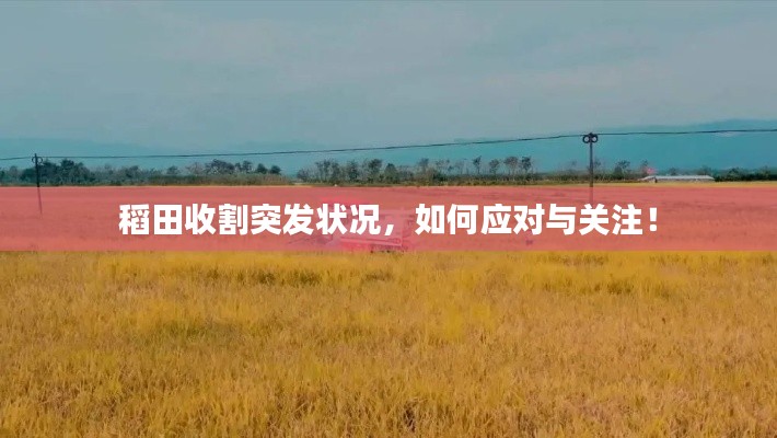 甄繁就简 第2页