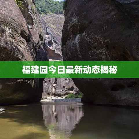 福建园今日最新动态揭秘