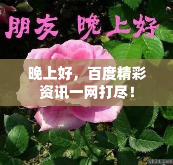 晚上好,百度精彩资讯一网打尽!