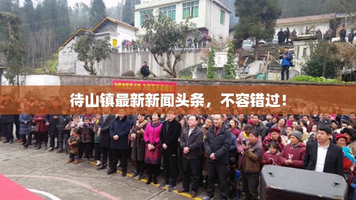 待山镇最新新闻头条,不容错过!