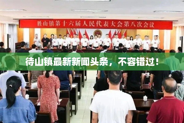 待山镇最新新闻头条,不容错过!