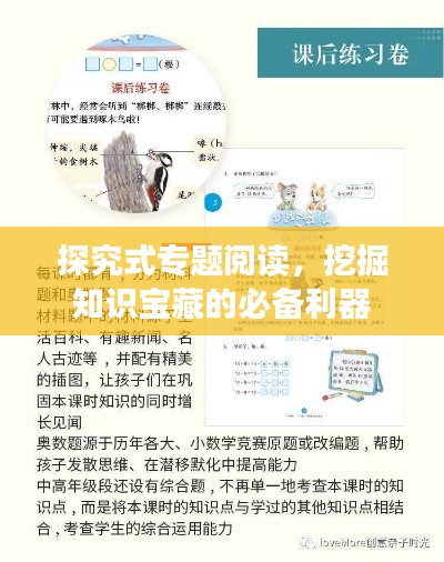 探究式专题阅读,挖掘知识宝藏的必备利器