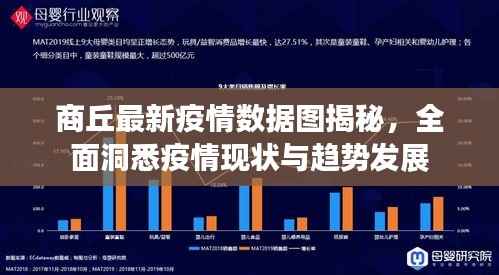 商丘最新疫情数据图揭秘,全面洞悉疫情现状与趋势发展