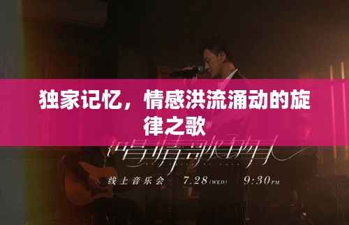 独家记忆,情感洪流涌动的旋律之歌