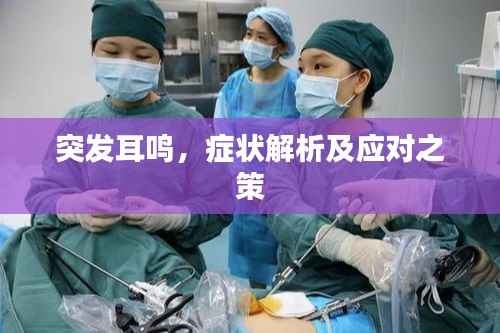 关于我们 第96页