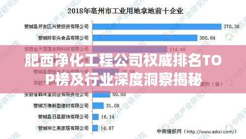 肥西净化工程公司权威排名TOP榜及行业深度洞察揭秘