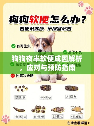 狗狗夜半软便成因解析，应对与预防指南