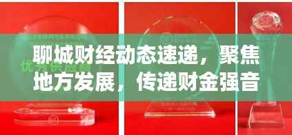 聊城财经动态速递,聚焦地方发展,传递财金强音