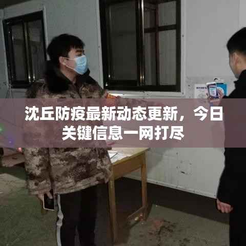 沈丘防疫最新动态更新,今日关键信息一网打尽