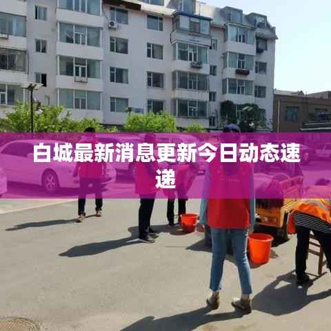 白城最新消息更新今日动态速递