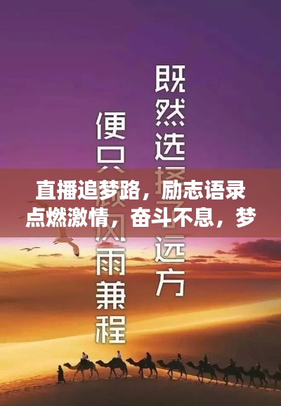 直播追梦路,励志语录点燃激情,奋斗不息,梦想不灭