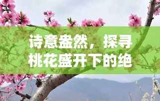 随时随地 第2页