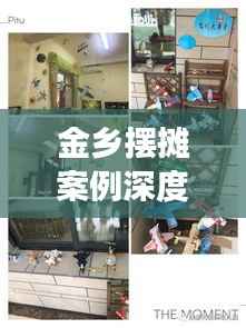 金乡摆摊案例深度观察,最新动态与启示