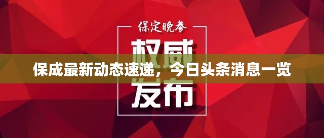 保成最新动态速递,今日头条消息一览