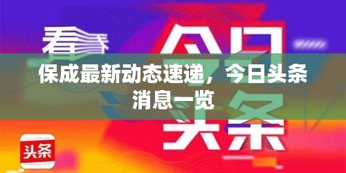 保成最新动态速递,今日头条消息一览