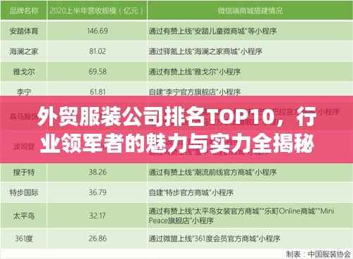外贸服装公司排名TOP10,行业领军者的魅力与实力全揭秘