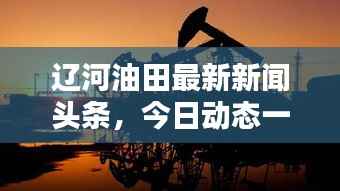 辽河油田最新新闻头条,今日动态一网打尽!