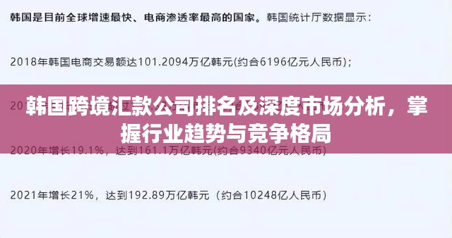 韩国跨境汇款公司排名及深度市场分析,掌握行业趋势与竞争格局