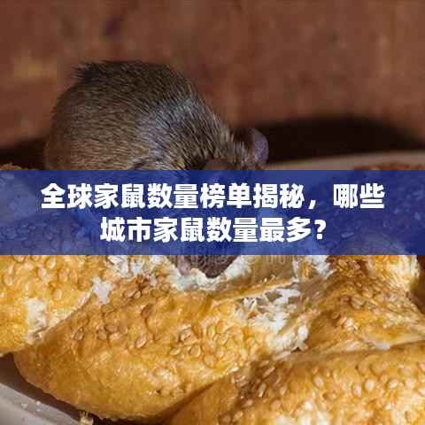 全球家鼠数量榜单揭秘,哪些城市家鼠数量最多?