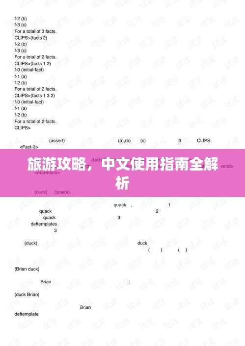 旅游攻略，中文使用指南全解析