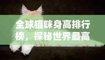 全球猫咪身高排行榜,探秘世界最高猫咪的魅力!