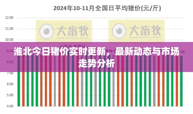 淮北今日猪价实时更新,最新动态与市场走势分析