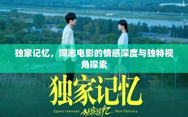 独家记忆,同志电影的情感深度与独特视角探索