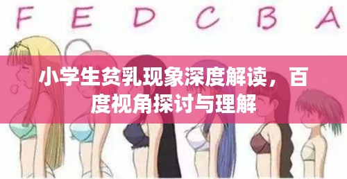 小学生贫乳现象深度解读,百度视角探讨与理解